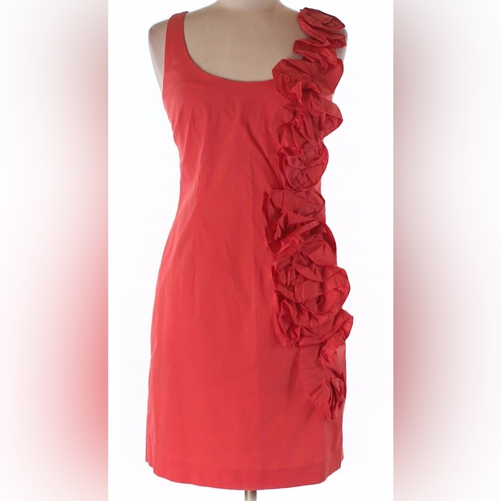 Cynthia Steffe Elegant  Ruffle Dress